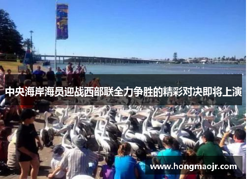 中央海岸海员迎战西部联全力争胜的精彩对决即将上演