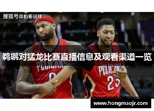 鹈鹕对猛龙比赛直播信息及观看渠道一览